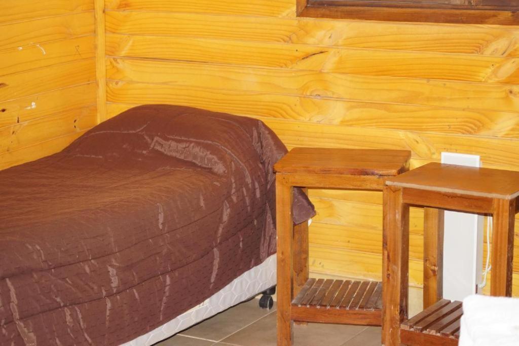 Complejo Rio Los Patos - Apartamentos Barreal Dış mekan fotoğraf